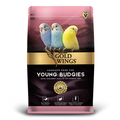 Premium Yavru Muhabbet 1 kg 6'lı - Thumbnail