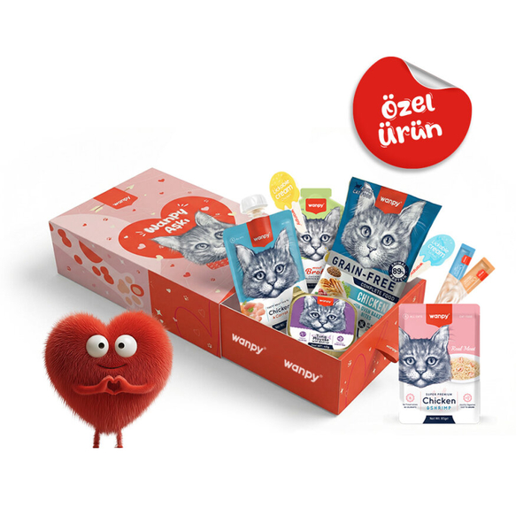 Wanpy Kalp Temalı Kutu Seti Kedi_6'lı Koli