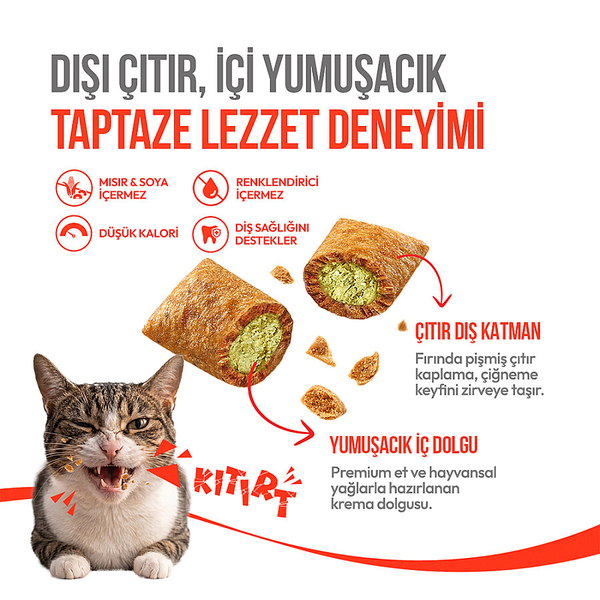 Wanpy Kedi Crunch Ödül Catnipli & Tavuklu 60g – 10'lu