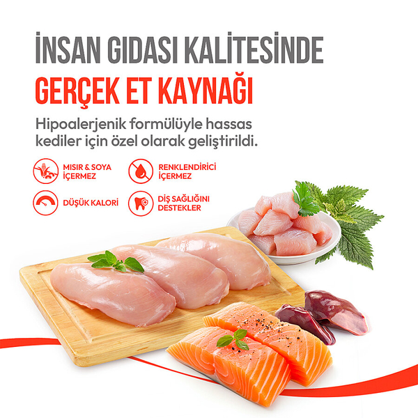Wanpy Kedi Crunch Ödül Catnipli & Tavuklu 60g – 10'lu