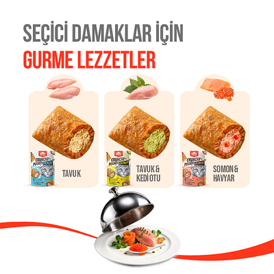 Wanpy Kedi Crunch Ödül Catnipli & Tavuklu 60g – 10'lu - Thumbnail