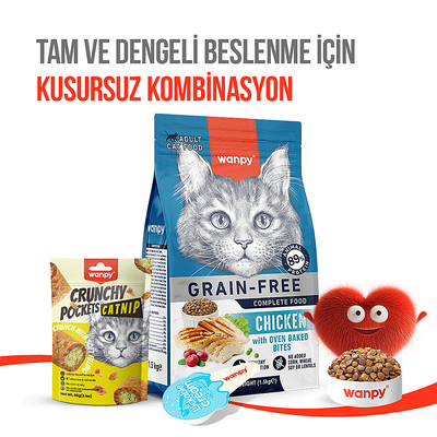 Wanpy Kedi Crunch Ödül Catnipli & Tavuklu 60g – 10'lu - Thumbnail