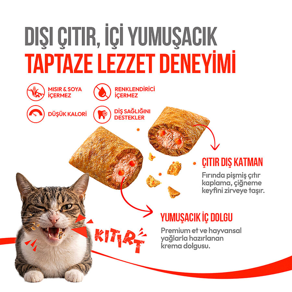 Wanpy Kedi Crunch Ödül Somon & Havyar 60g – 10'lu