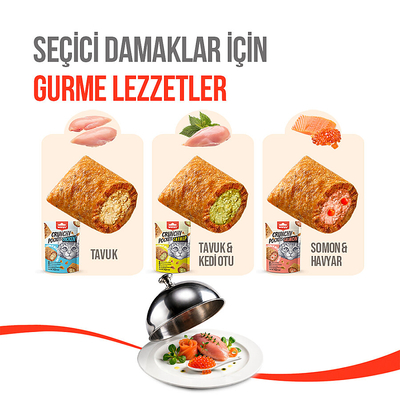 Wanpy Kedi Crunch Ödül Tavuk 60g - 10'lu - Thumbnail