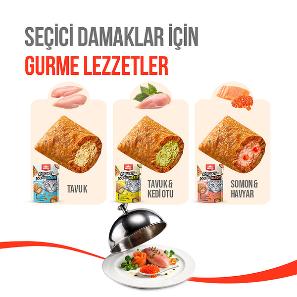 Wanpy Kedi Crunch Ödül Tavuk 60g - 10'lu