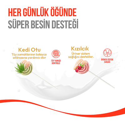 Wanpy Kediler İçin Dondurularak Kurutulmuş Lolipop - Kedi Otu - 1.4 g*10'lu - Thumbnail