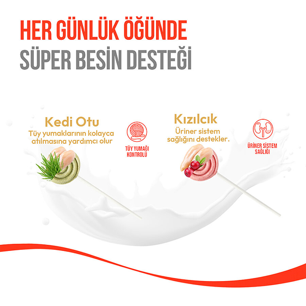Wanpy Kediler İçin Dondurularak Kurutulmuş Lolipop - Kedi Otu - 1.4 g*10'lu
