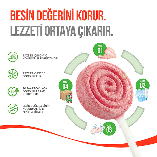Wanpy Kediler İçin Dondurularak Kurutulmuş Lolipop - Kızılcık - 1.4 g*10'lu