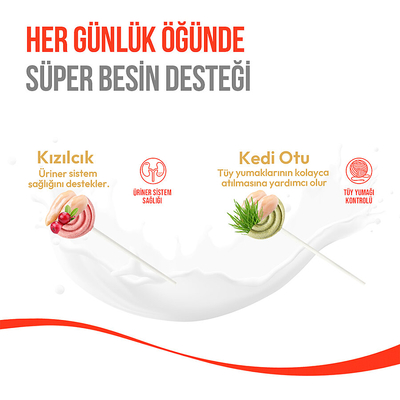 Wanpy Kediler İçin Dondurularak Kurutulmuş Lolipop - Kızılcık - 1.4 g*10'lu - Thumbnail
