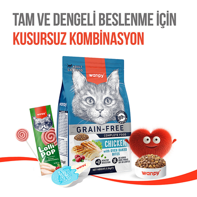 Wanpy Kediler İçin Dondurularak Kurutulmuş Lolipop - Kızılcık - 1.4 g*10'lu - Thumbnail