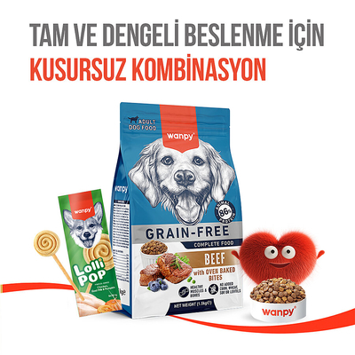 Wanpy Köpekler İçin Dondurularak Kurutulmuş Swirlpop – Balkabaklı - 6 g*10'lu - Thumbnail