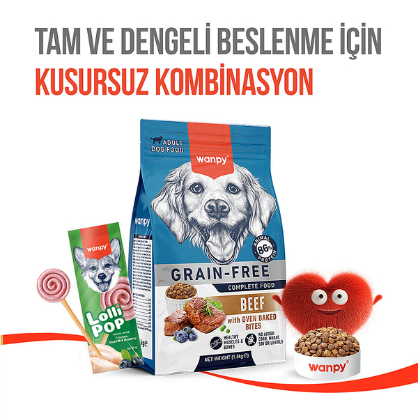 Wanpy Köpekler İçin Dondurularak Kurutulmuş Swirlpop – Yaban Mersinli - 6 g*10'lu