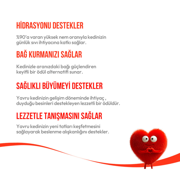 Wanpy Somonlu 12'li - Yavru Kedi Krema Ödülü 5x14 g