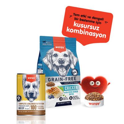Wanpy Tahılsız Köpek %100 Gerçek Et 375 gr Biftekli Konserve 12 Adet - Thumbnail