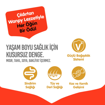 Wanpy Tahılsız Ördekli Yetişkin Köpek Maması 12 kg - Thumbnail