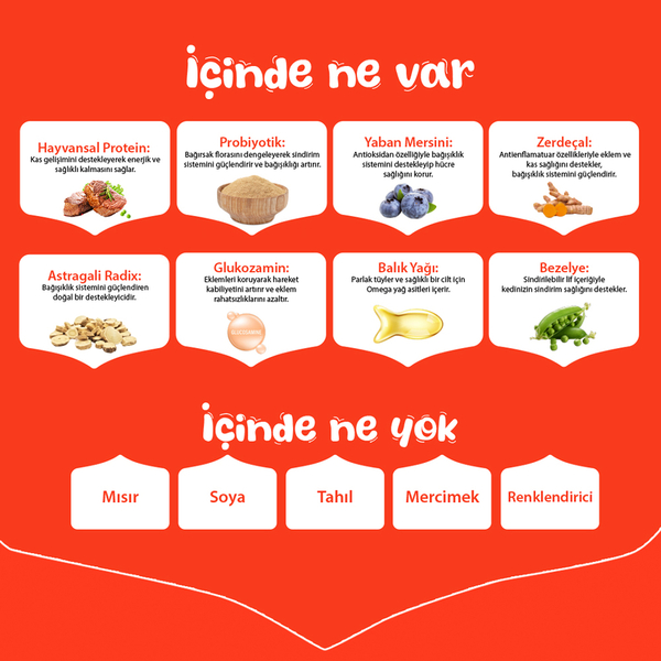 Wanpy Tahılsız Sığır Etli Yetişkin Köpek Maması 1,5 kg