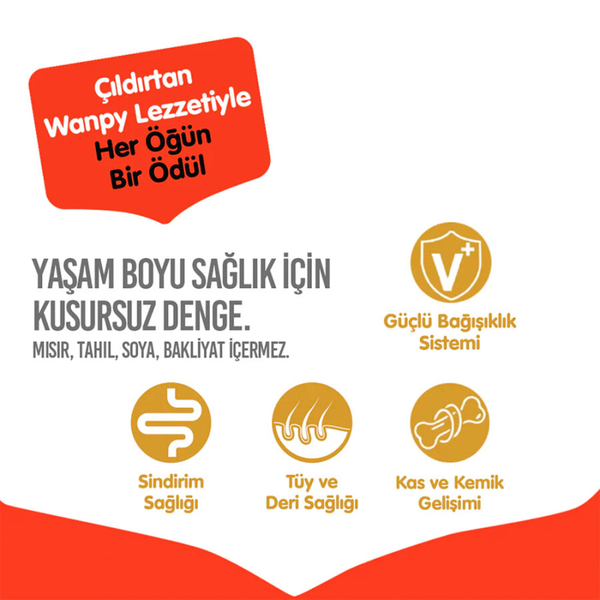 Wanpy Tahılsız Somonlu Yavru Köpek Maması 1,5 kg