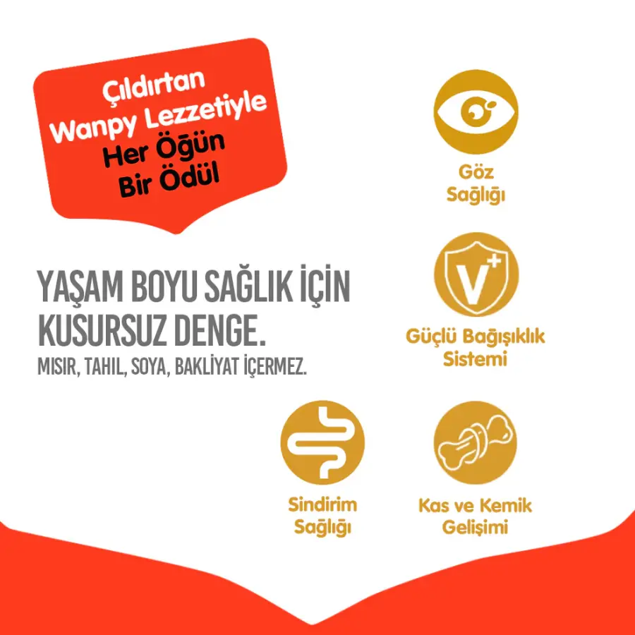 Wanpy Tahılsız Tavuklu Yetişkin Kedi Maması 8 kg