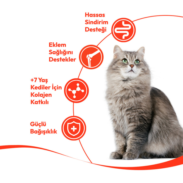 Wanpy Ton Balıklı 12’li – 7+ Yaş Kedi Krema Ödülü 5×14 g