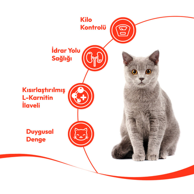 Wanpy Ton Balıklı & Kızılcıklı 12’li – Kısırlaştırılmış Kedi Krema Ödülü 5×14 g - Thumbnail